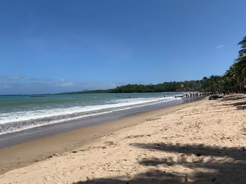 White sand and gentle waves along Gumaus Beach, Paracale, with palm trees along the shore