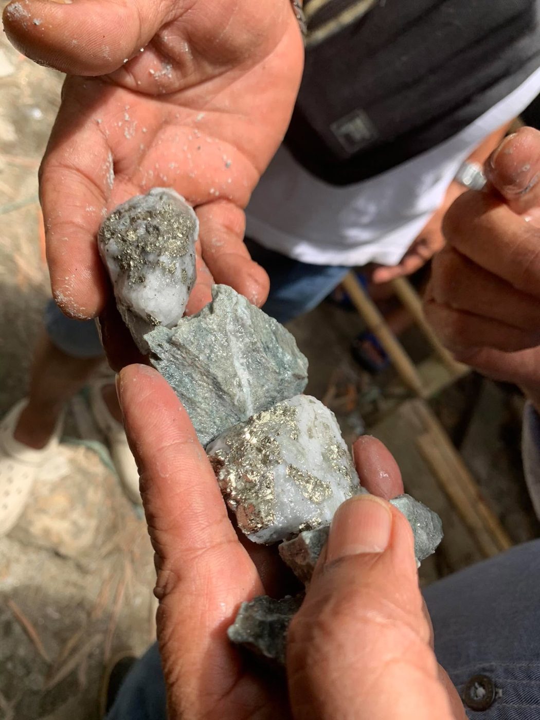 Samples from the Manila, Vallejo and Tumbaga veins analysed by the Mines and Geosciences Bureau laboratory