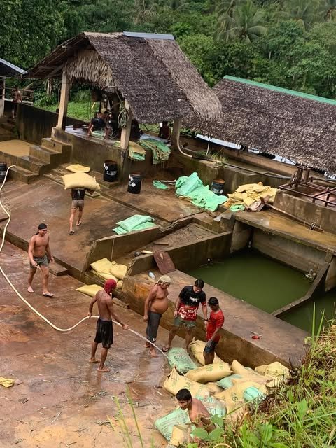 Workers carry bags of ore across the concrete leaching tanks of the processing plant, under thatched roofs