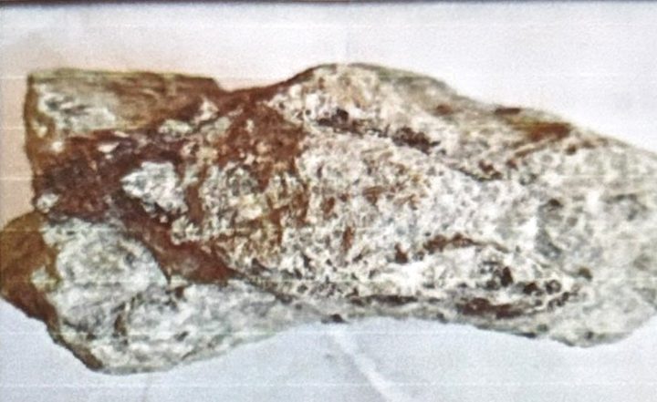 Mineralised quartz with pyrite from the Manila Vein
